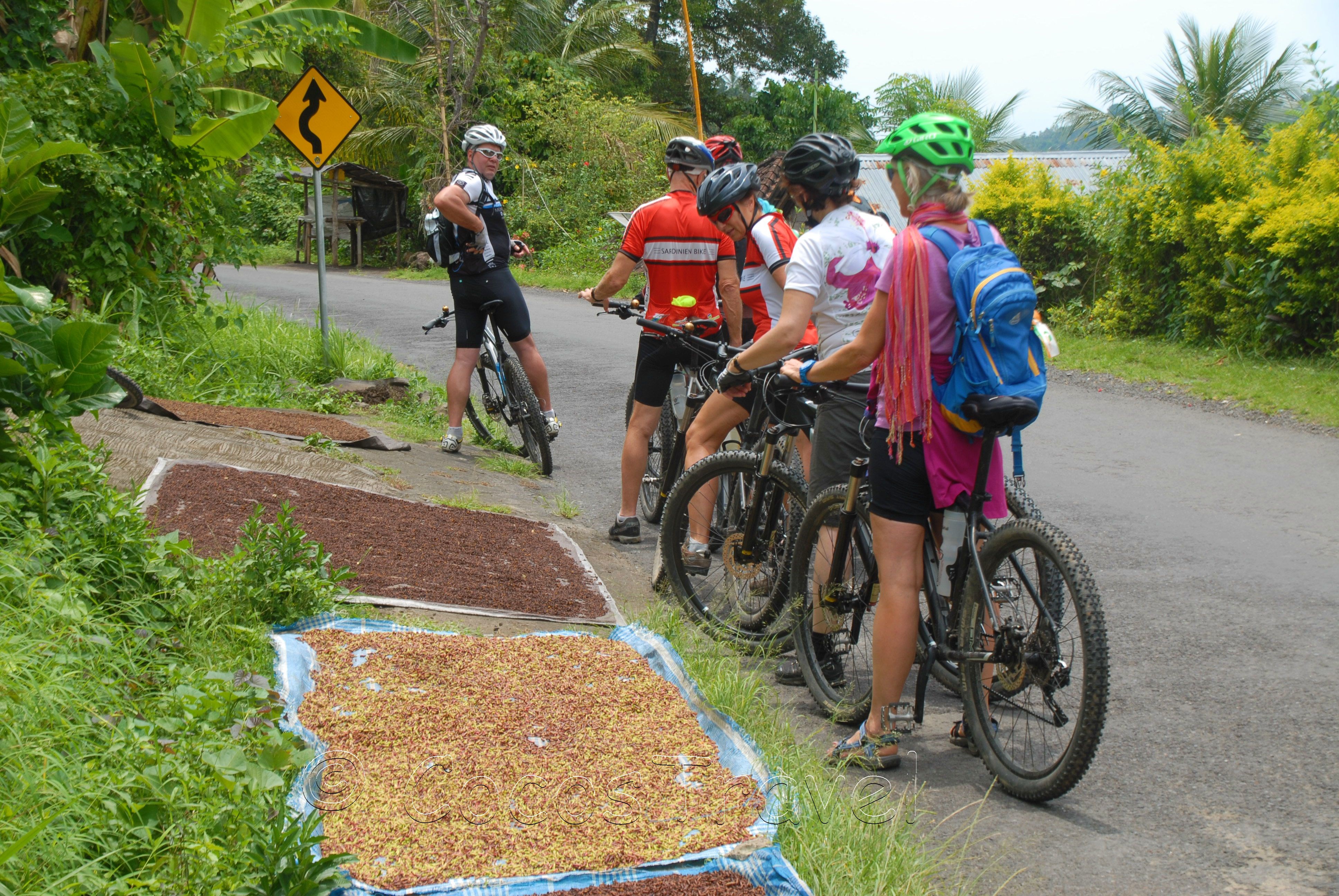 Bike your dreams....