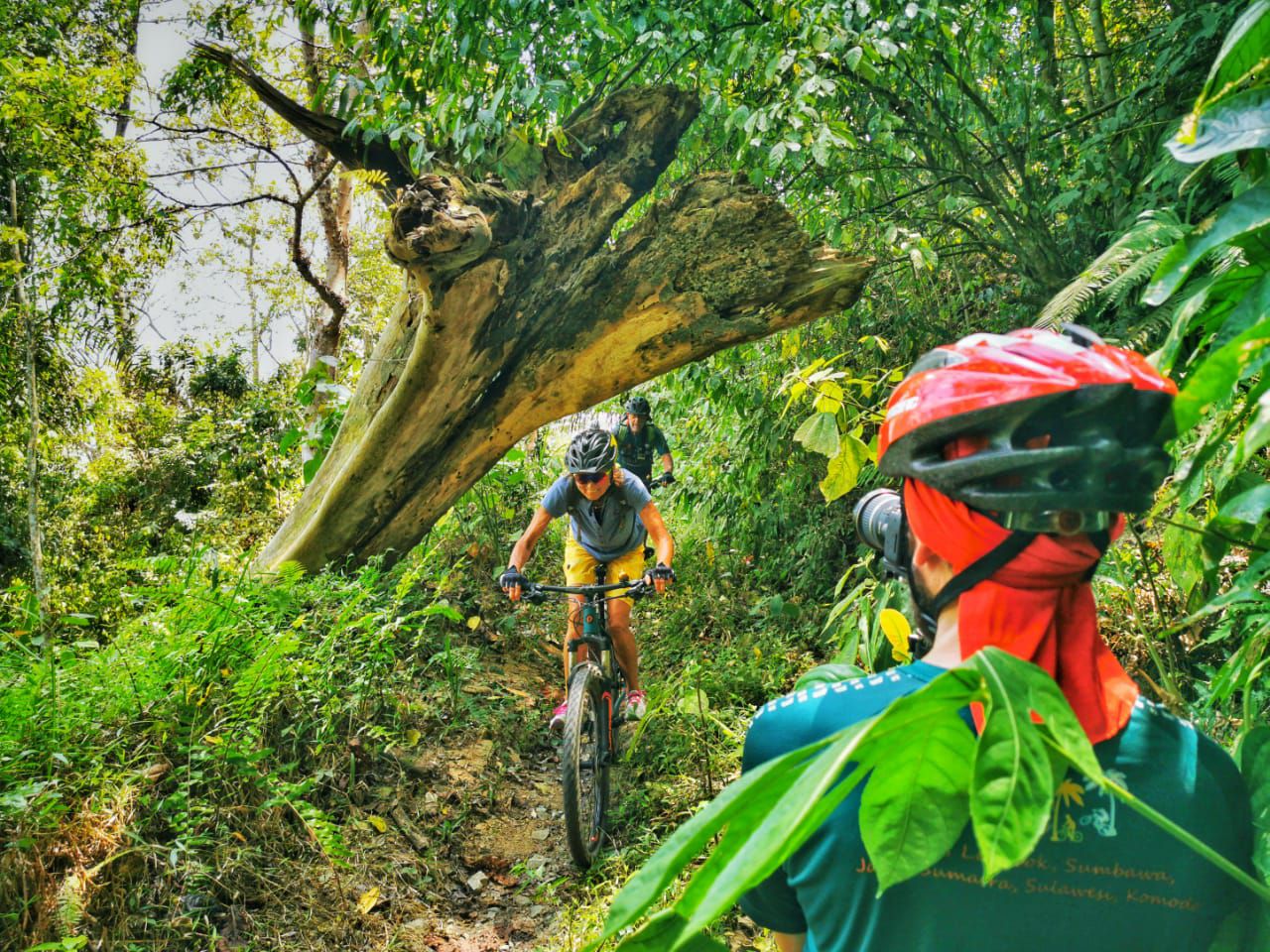 Mountainbiken wie Tarzan und Jane