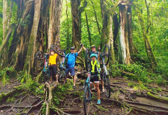 Botanischer Garten Bedugul Gruppe von Radfahrern posiert vor großen Bäumen im Wald.